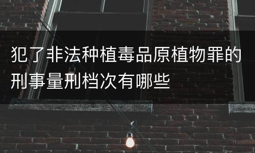 犯了非法种植毒品原植物罪的刑事量刑档次有哪些