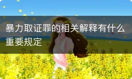 暴力取证罪的相关解释有什么重要规定