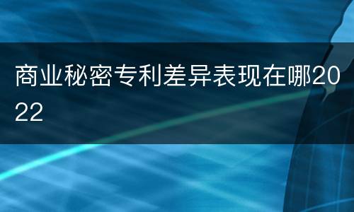 商业秘密专利差异表现在哪2022