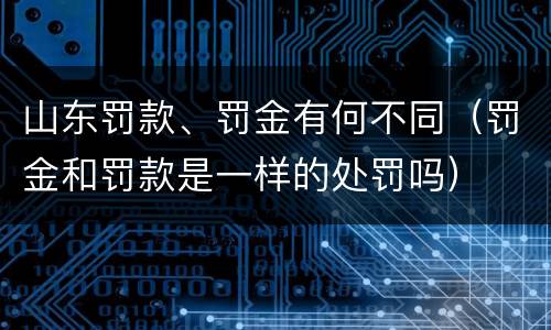 山东罚款、罚金有何不同（罚金和罚款是一样的处罚吗）