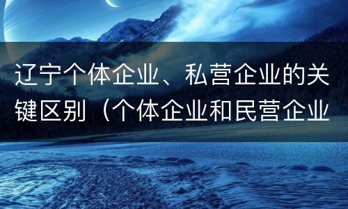 辽宁个体企业、私营企业的关键区别（个体企业和民营企业的区别）