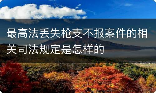 最高法丢失枪支不报案件的相关司法规定是怎样的