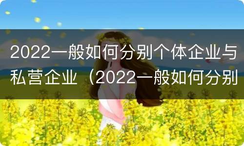 2022一般如何分别个体企业与私营企业（2022一般如何分别个体企业与私营企业呢）