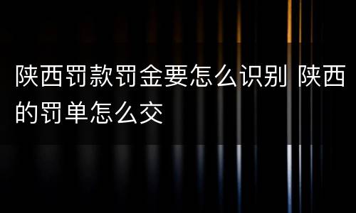 陕西罚款罚金要怎么识别 陕西的罚单怎么交