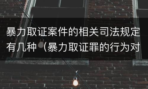 暴力取证案件的相关司法规定有几种（暴力取证罪的行为对象是）