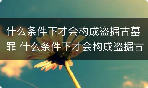 什么条件下才会构成盗掘古墓罪 什么条件下才会构成盗掘古墓罪行