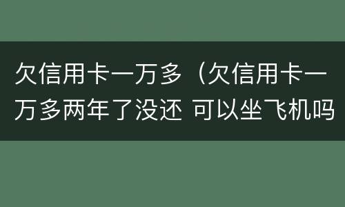 欠信用卡一万多（欠信用卡一万多两年了没还 可以坐飞机吗）