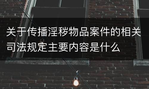 关于传播淫秽物品案件的相关司法规定主要内容是什么