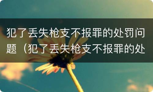 犯了丢失枪支不报罪的处罚问题（犯了丢失枪支不报罪的处罚问题有哪些）