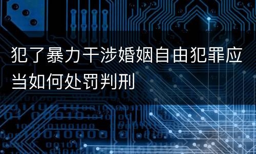 犯了暴力干涉婚姻自由犯罪应当如何处罚判刑