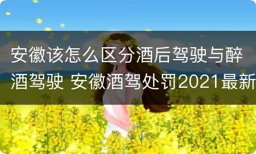 安徽该怎么区分酒后驾驶与醉酒驾驶 安徽酒驾处罚2021最新标准