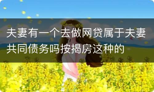 夫妻有一个去做网贷属于夫妻共同债务吗按揭房这种的