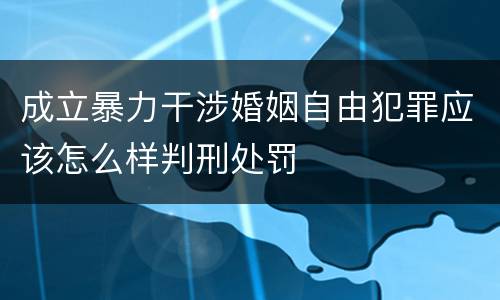 成立暴力干涉婚姻自由犯罪应该怎么样判刑处罚