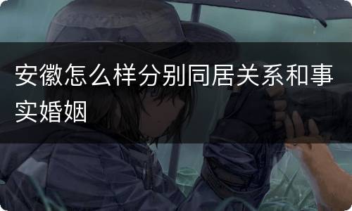 安徽怎么样分别同居关系和事实婚姻