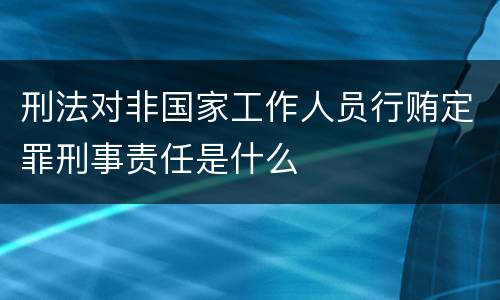 刑法对非国家工作人员行贿定罪刑事责任是什么