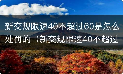 新交规限速40不超过60是怎么处罚的（新交规限速40不超过60是怎么处罚的规定）