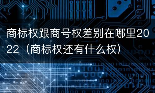 商标权跟商号权差别在哪里2022（商标权还有什么权）