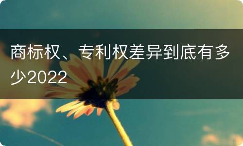 商标权、专利权差异到底有多少2022