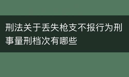 刑法关于丢失枪支不报行为刑事量刑档次有哪些