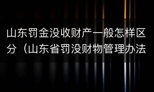 山东罚金没收财产一般怎样区分（山东省罚没财物管理办法）