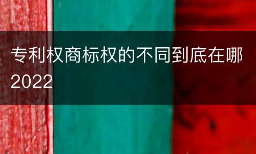 专利权商标权的不同到底在哪2022