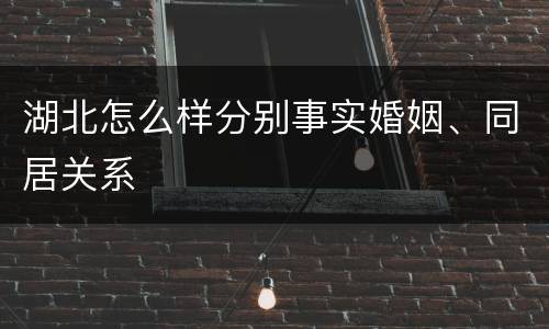 湖北怎么样分别事实婚姻、同居关系