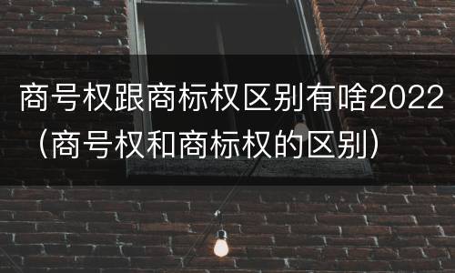 商号权跟商标权区别有啥2022（商号权和商标权的区别）