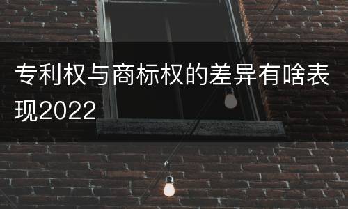 专利权与商标权的差异有啥表现2022