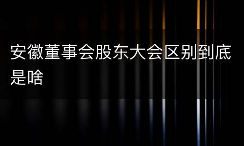 安徽董事会股东大会区别到底是啥