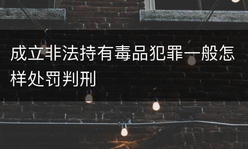 成立非法持有毒品犯罪一般怎样处罚判刑