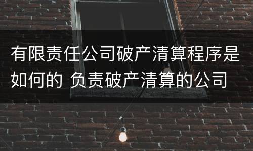 有限责任公司破产清算程序是如何的 负责破产清算的公司