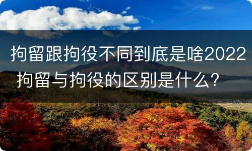 拘留跟拘役不同到底是啥2022 拘留与拘役的区别是什么?