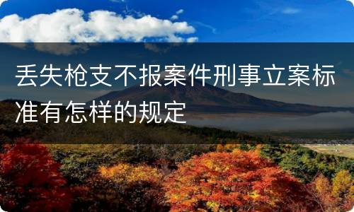 丢失枪支不报案件刑事立案标准有怎样的规定