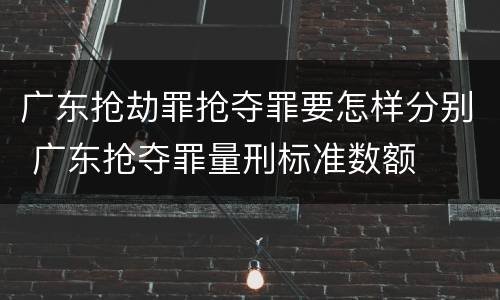 广东抢劫罪抢夺罪要怎样分别 广东抢夺罪量刑标准数额