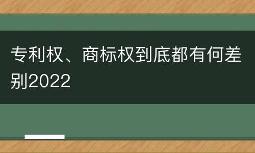 专利权、商标权到底都有何差别2022