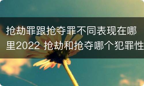 抢劫罪跟抢夺罪不同表现在哪里2022 抢劫和抢夺哪个犯罪性质严重