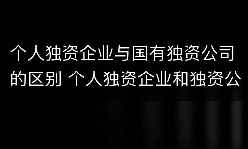 个人独资企业与国有独资公司的区别 个人独资企业和独资公司的区别