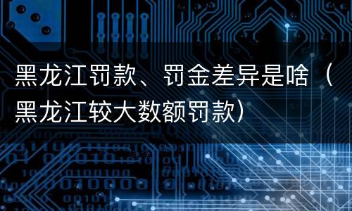 黑龙江罚款、罚金差异是啥（黑龙江较大数额罚款）