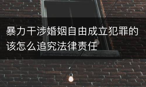 暴力干涉婚姻自由成立犯罪的该怎么追究法律责任