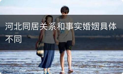 河北同居关系和事实婚姻具体不同