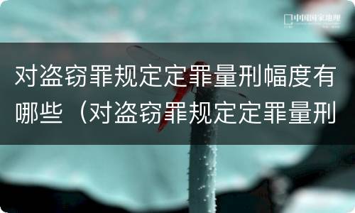 对盗窃罪规定定罪量刑幅度有哪些（对盗窃罪规定定罪量刑幅度有哪些规定）