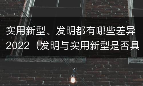 实用新型、发明都有哪些差异2022（发明与实用新型是否具有实用性）