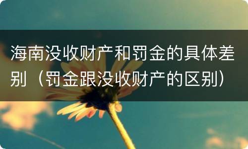 海南没收财产和罚金的具体差别（罚金跟没收财产的区别）