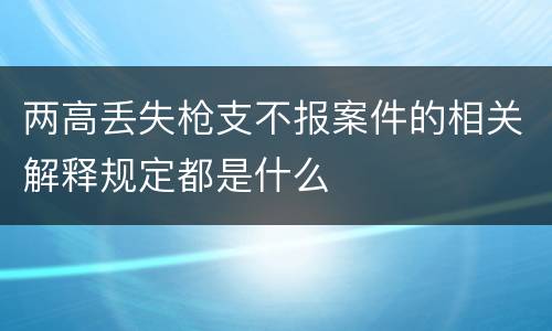 两高丢失枪支不报案件的相关解释规定都是什么