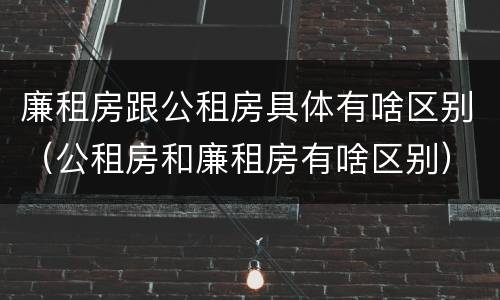 廉租房跟公租房具体有啥区别（公租房和廉租房有啥区别）