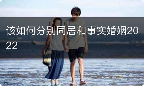 该如何分别同居和事实婚姻2022