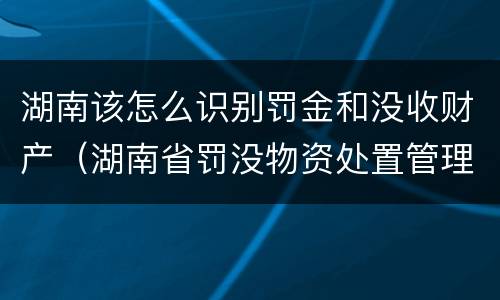 湖南该怎么识别罚金和没收财产（湖南省罚没物资处置管理办法）