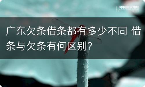 广东欠条借条都有多少不同 借条与欠条有何区别?