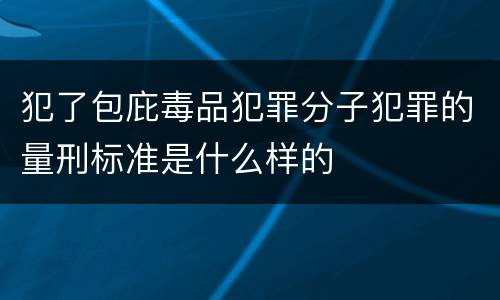 犯了包庇毒品犯罪分子犯罪的量刑标准是什么样的