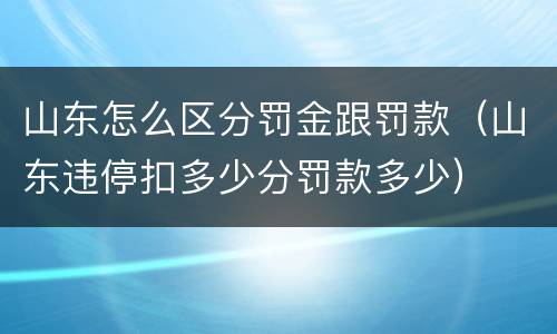 山东怎么区分罚金跟罚款（山东违停扣多少分罚款多少）